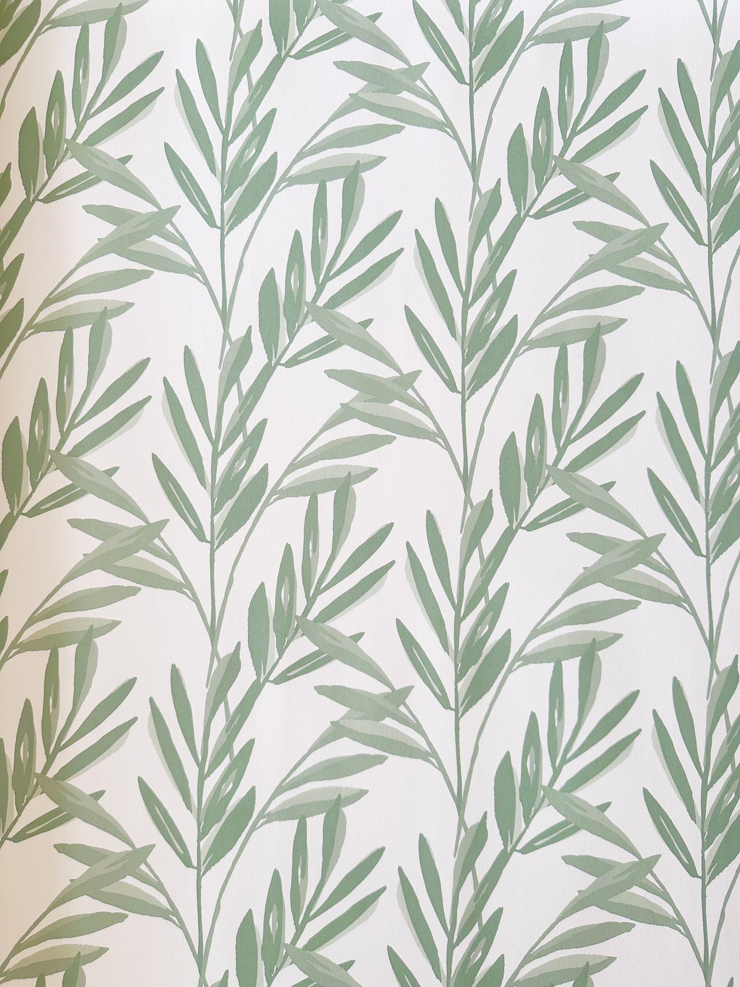 Botanical Wallpaper | Sage