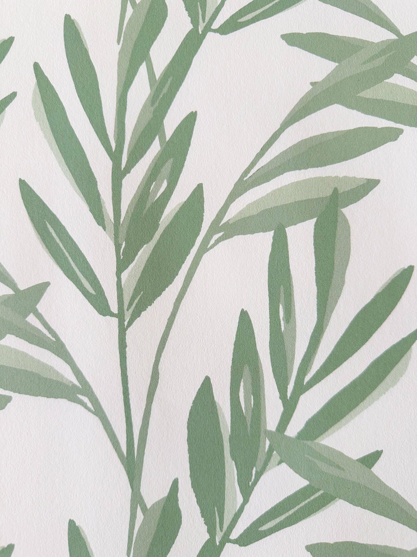 Botanical Wallpaper | Sage