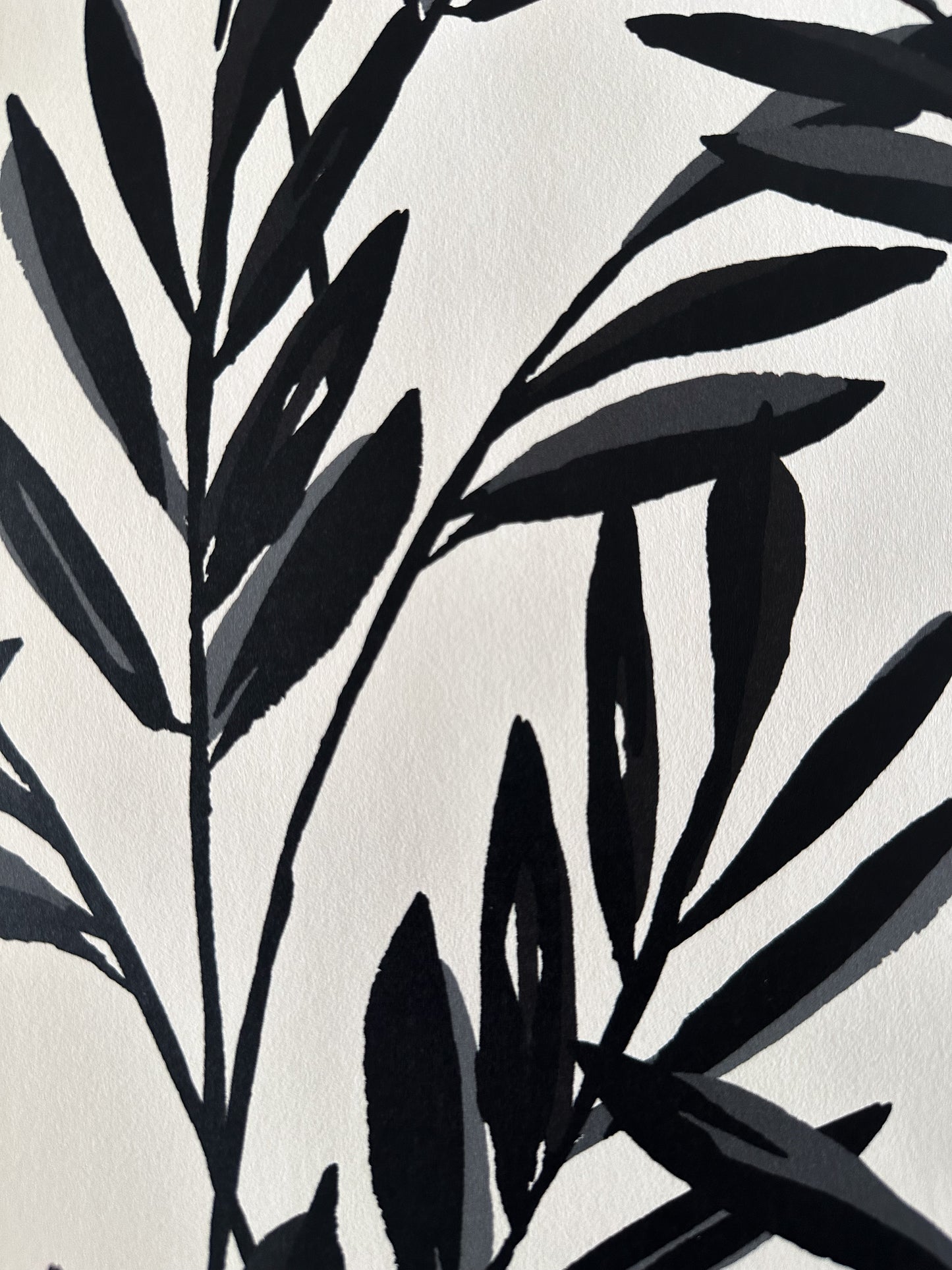 Botanical Wallpaper | Black and Cream