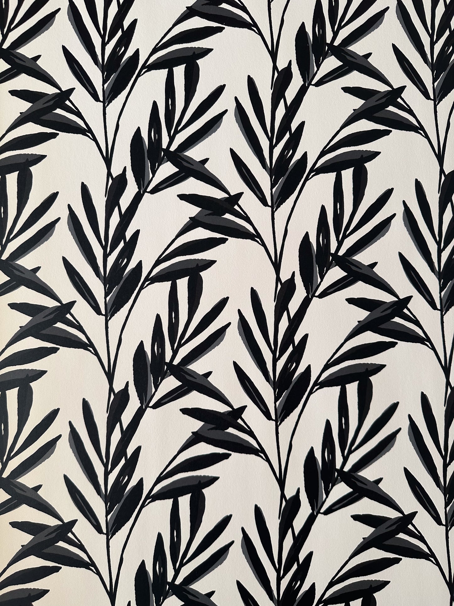 Botanical Wallpaper | Black and Cream