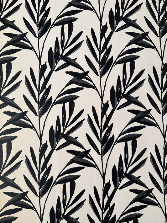 Botanical Wallpaper | Black and Cream