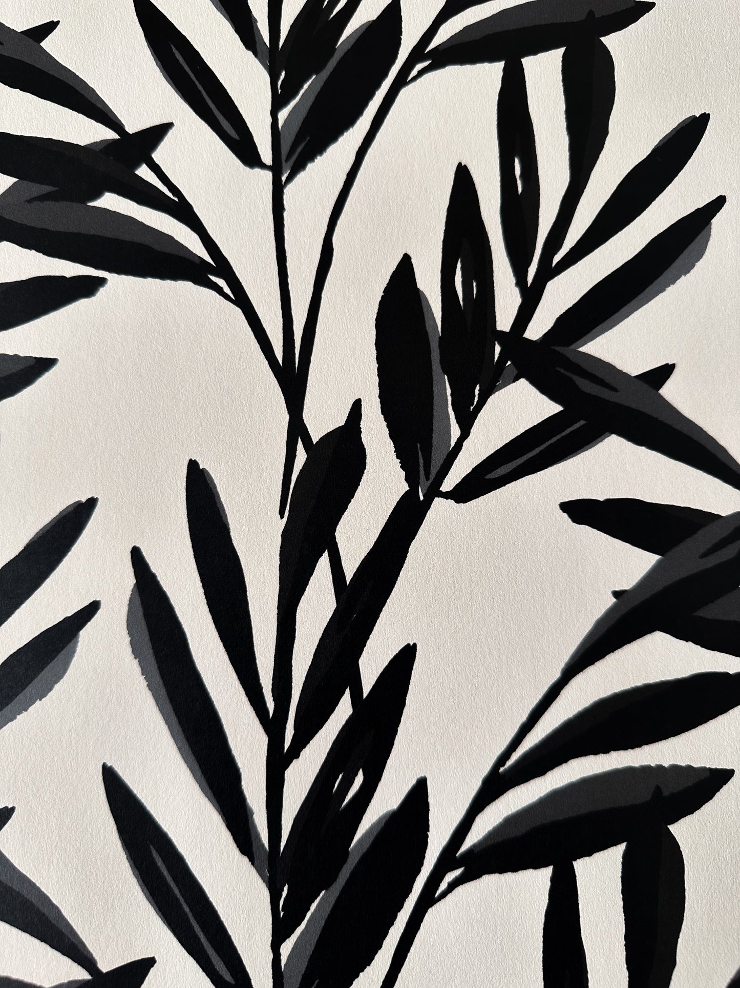 Botanical Wallpaper | Black and Cream
