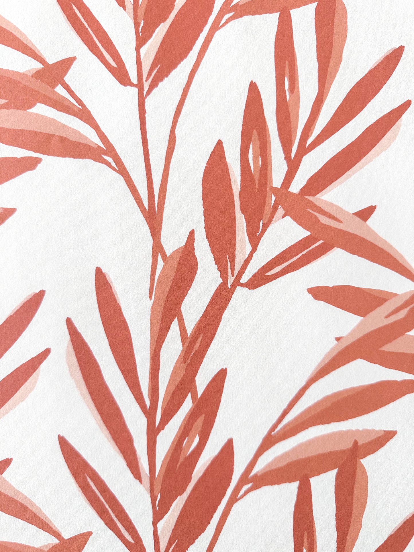 Botanical Wallpaper | Coral