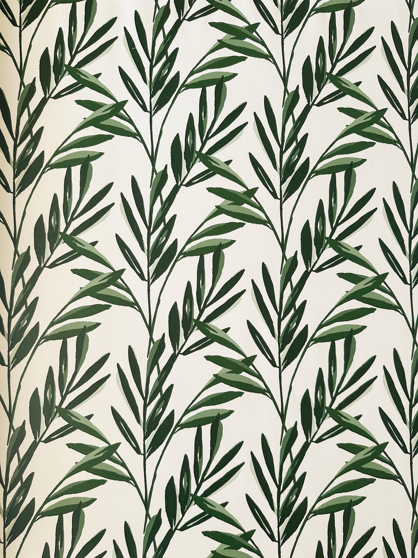 Botanical Wallpaper | Evergreen and Cream