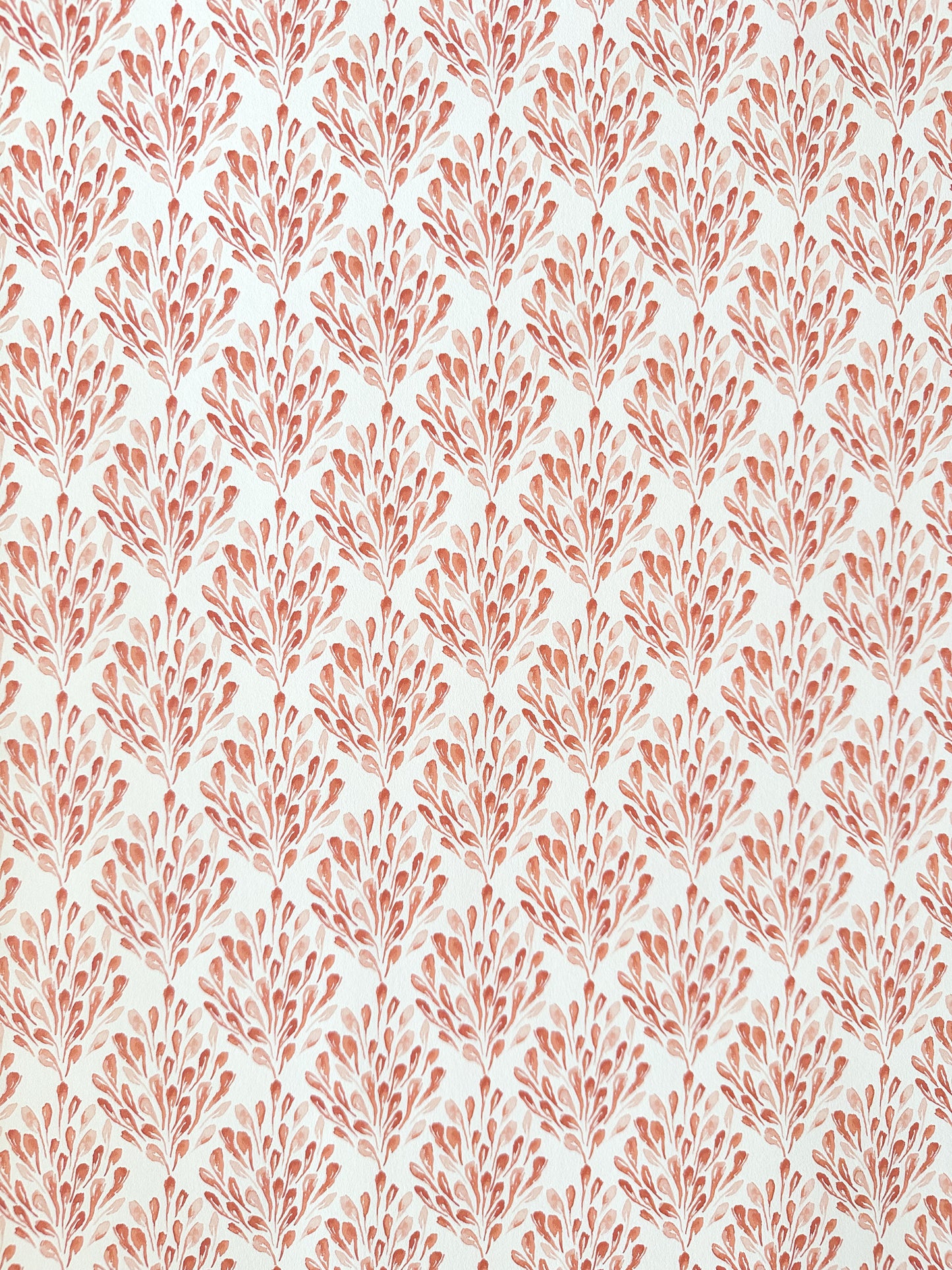 Plumage Wallpaper | Coral