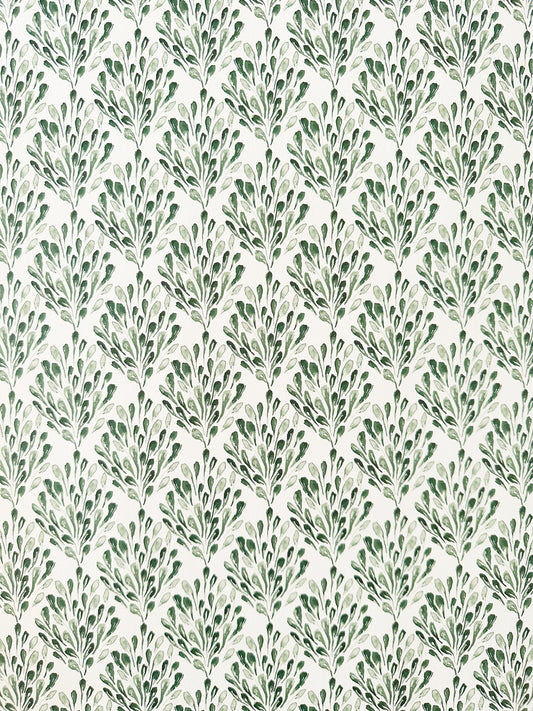 Plumage Wallpaper | Green