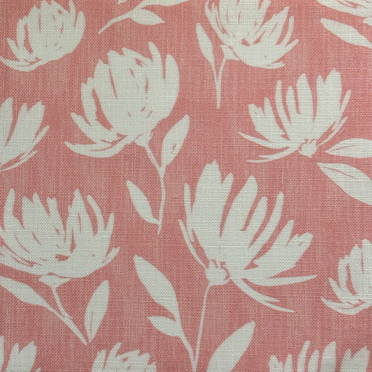 Flora in Coral